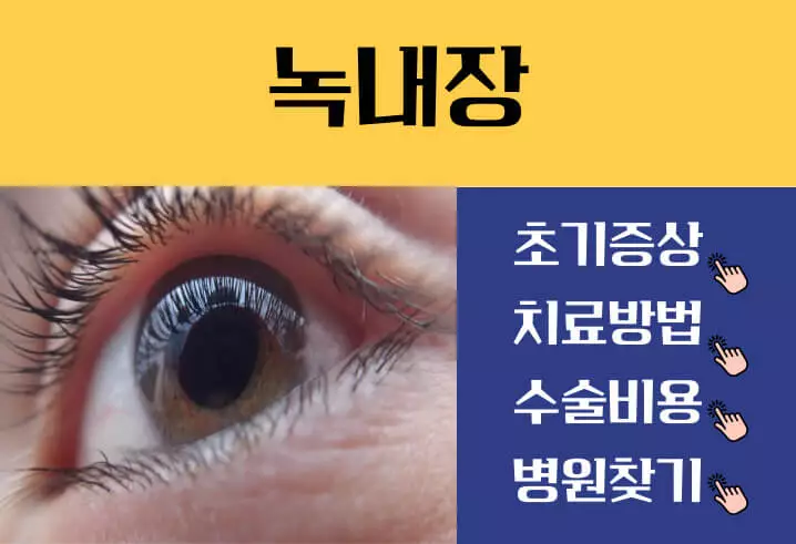 녹내장 초기증상 수술비용