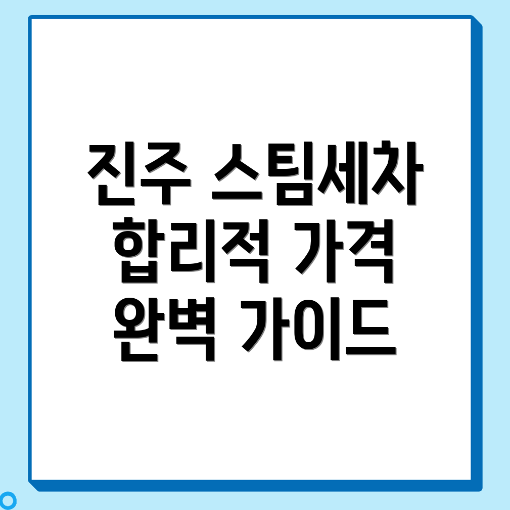 스팀세차