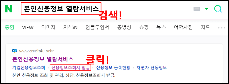 본인신용정보조회서