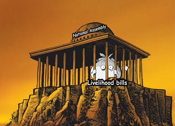 55545.jpg