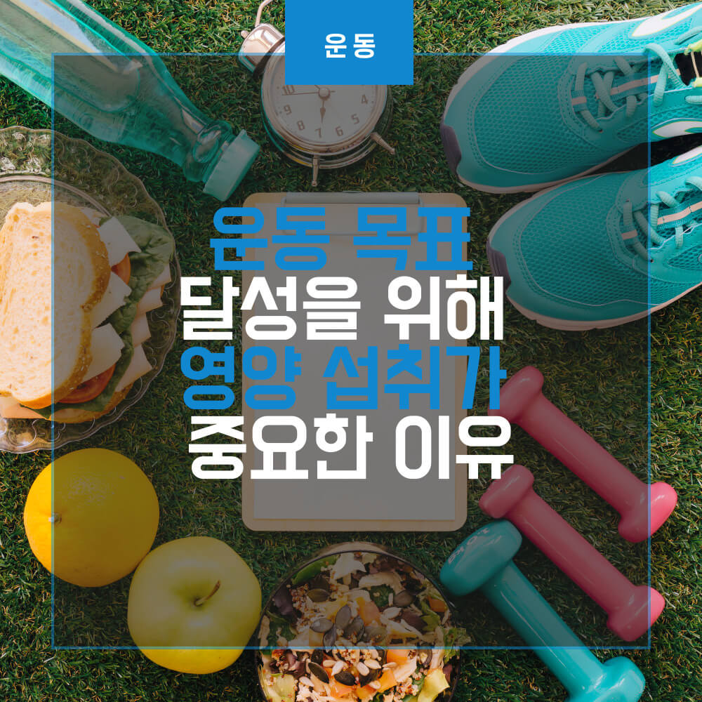  운동 목표 달성을 위해 영양 섭취가 중요한 이유