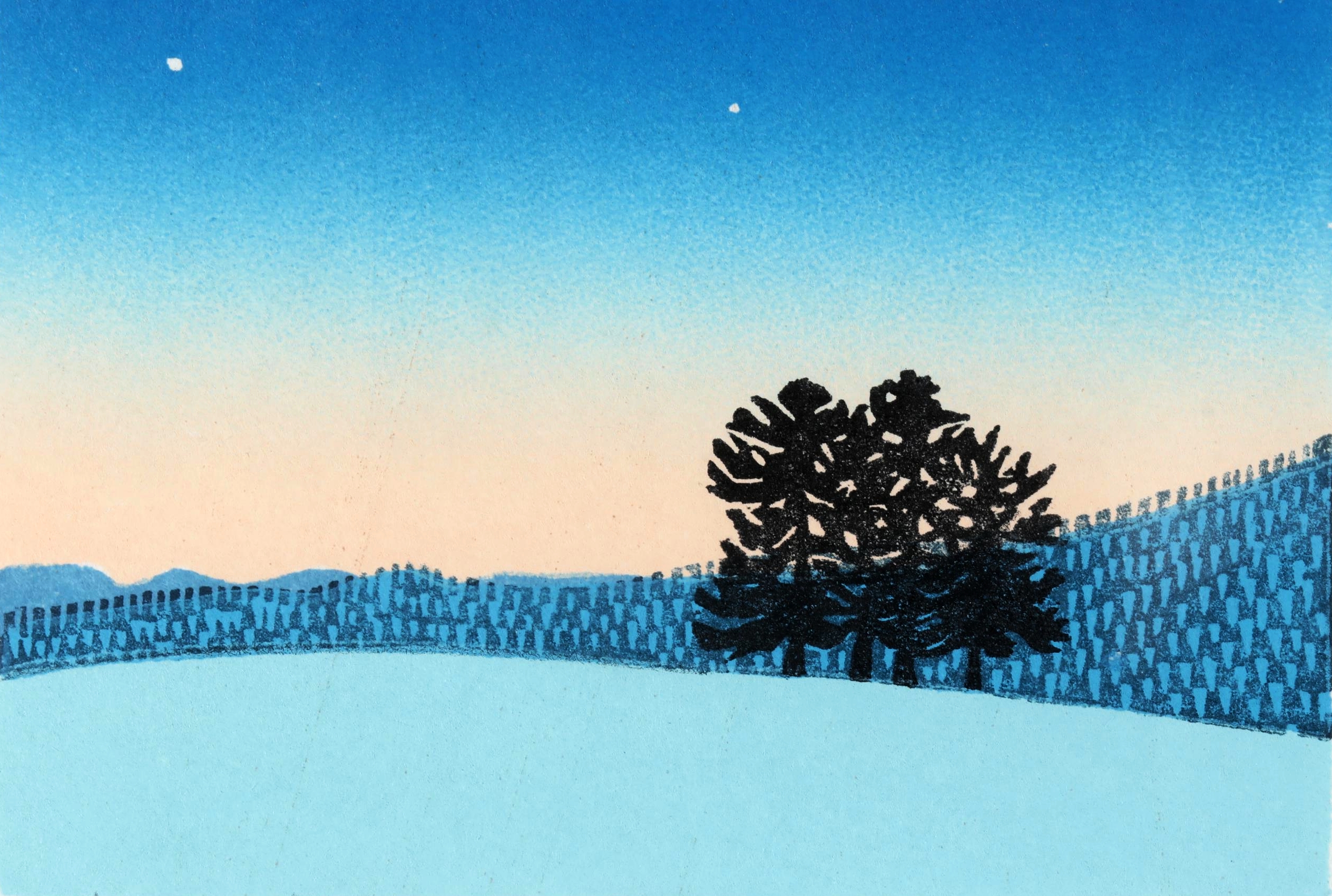 사브라 필드(Sabra Field), 미국, 예술가, 1935-현재