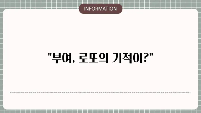 부여 로또 명당: 1등 터진 곳