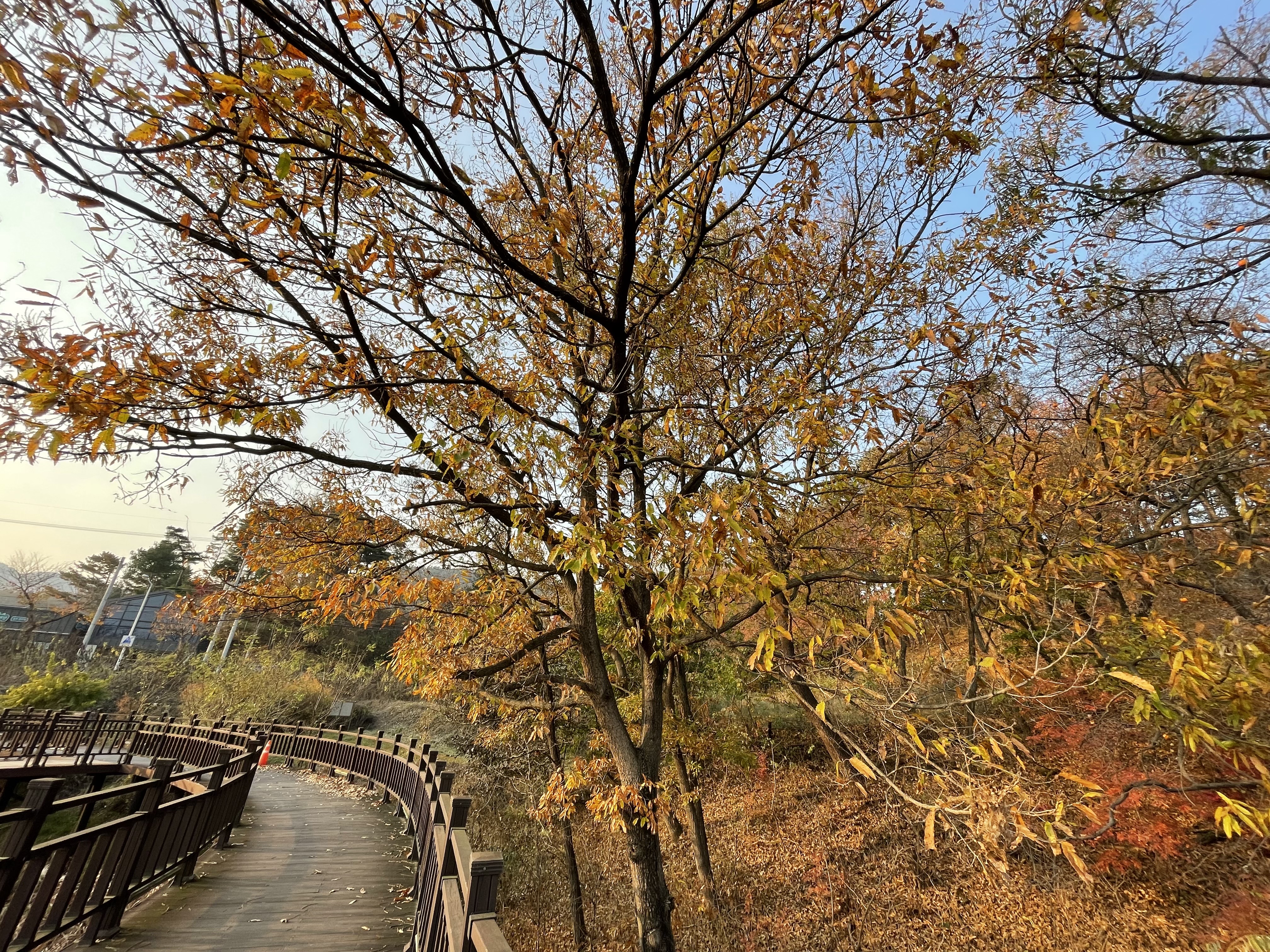 삼백미 생태코스 테크길 풍경