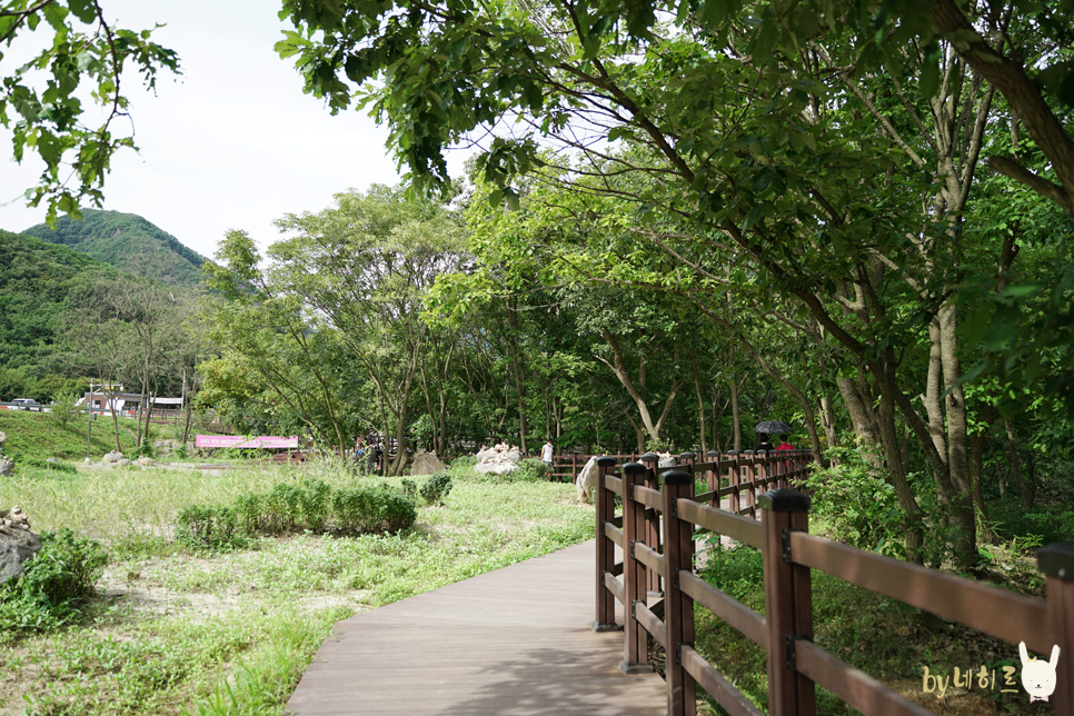 연천재인폭포 주상절리 24