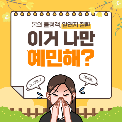  알레르기 비염 원인, 치료 및 완화, 비염에 좋은 음식, 영양제 추천