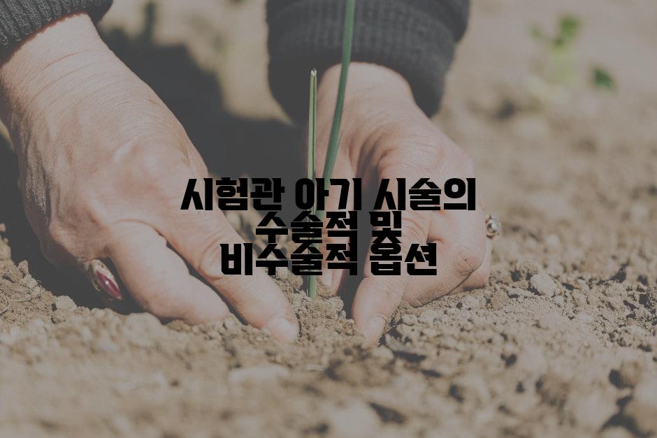 시험관 아기 시술의 수술적 및 비수술적 옵션