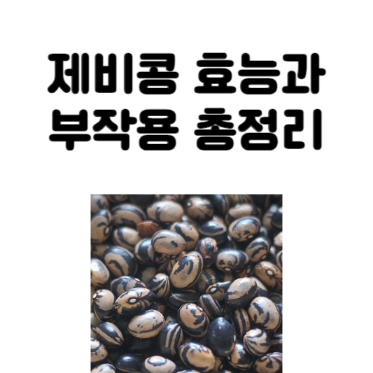 제비콩 효능과 부작용