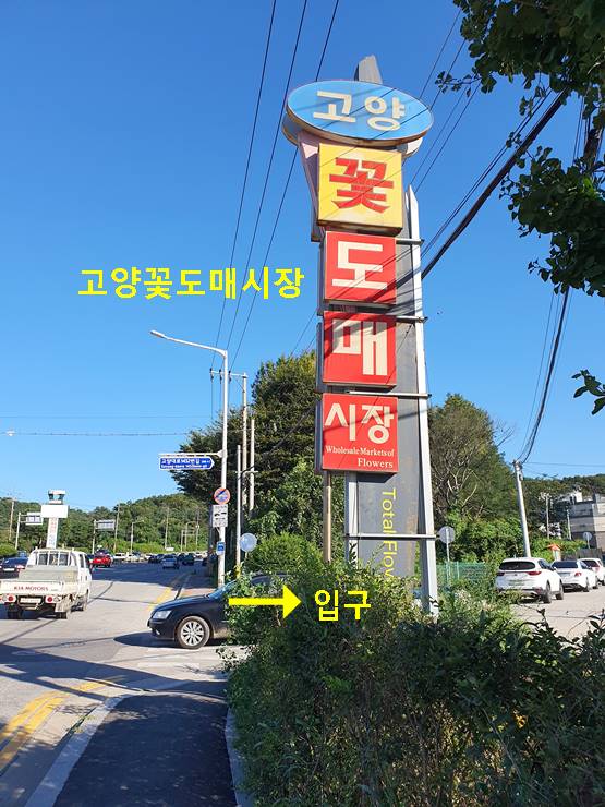 고양꽃도매시장