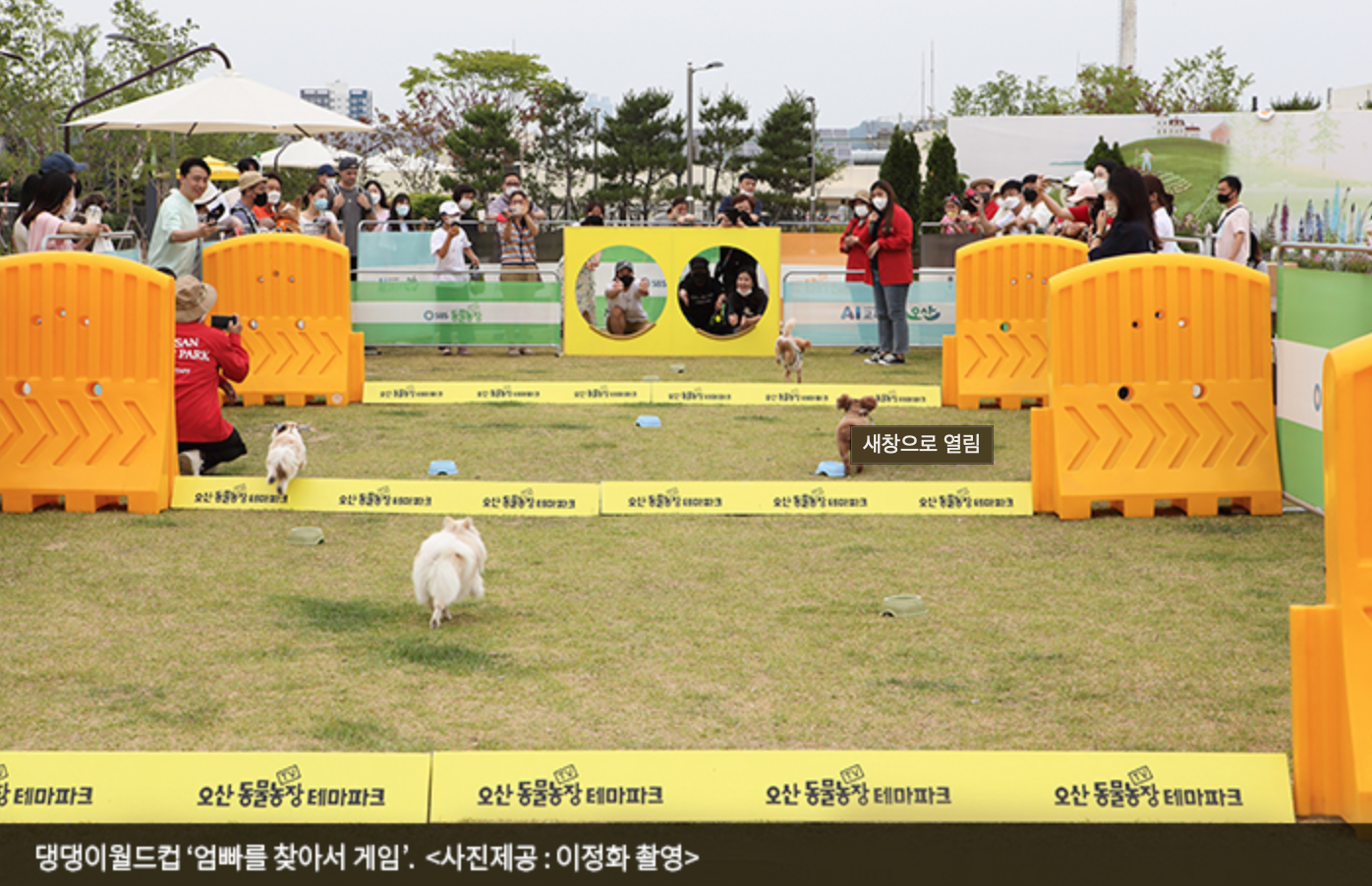 경기도 오산반려동물테마파크 사진