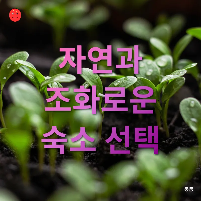 지속 가능한 여행_2