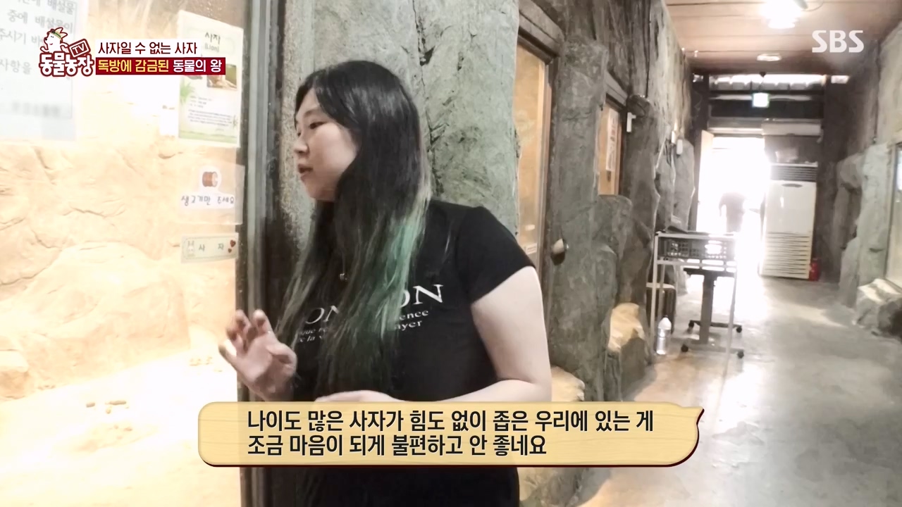 TV 동물농장.E1131.230731p-NEXT.mp4_20230730_190957.871.jpg