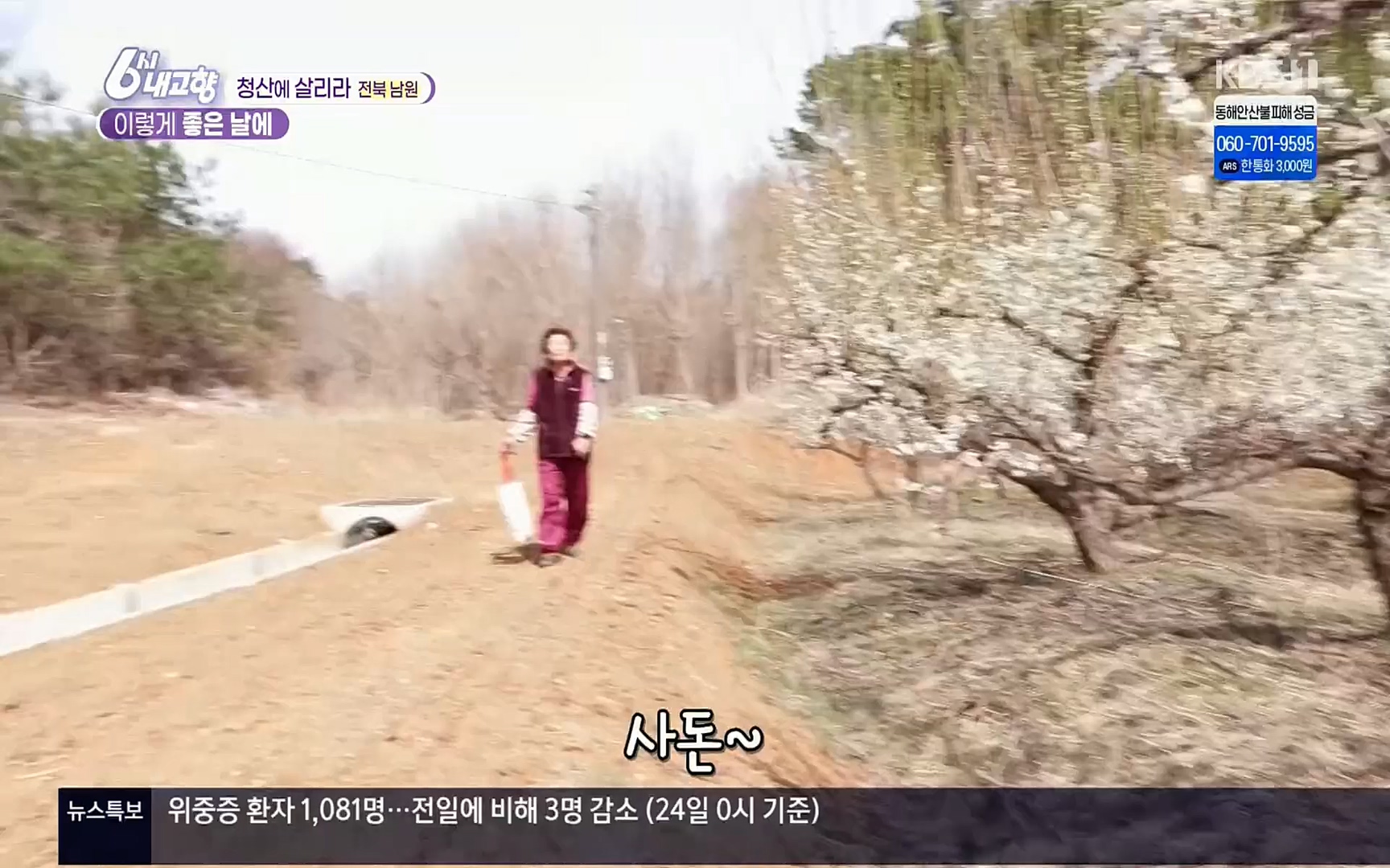 6시 내고향.E7496.220324p.H264-F1RST.mp4_20220328_181617.291.jpg