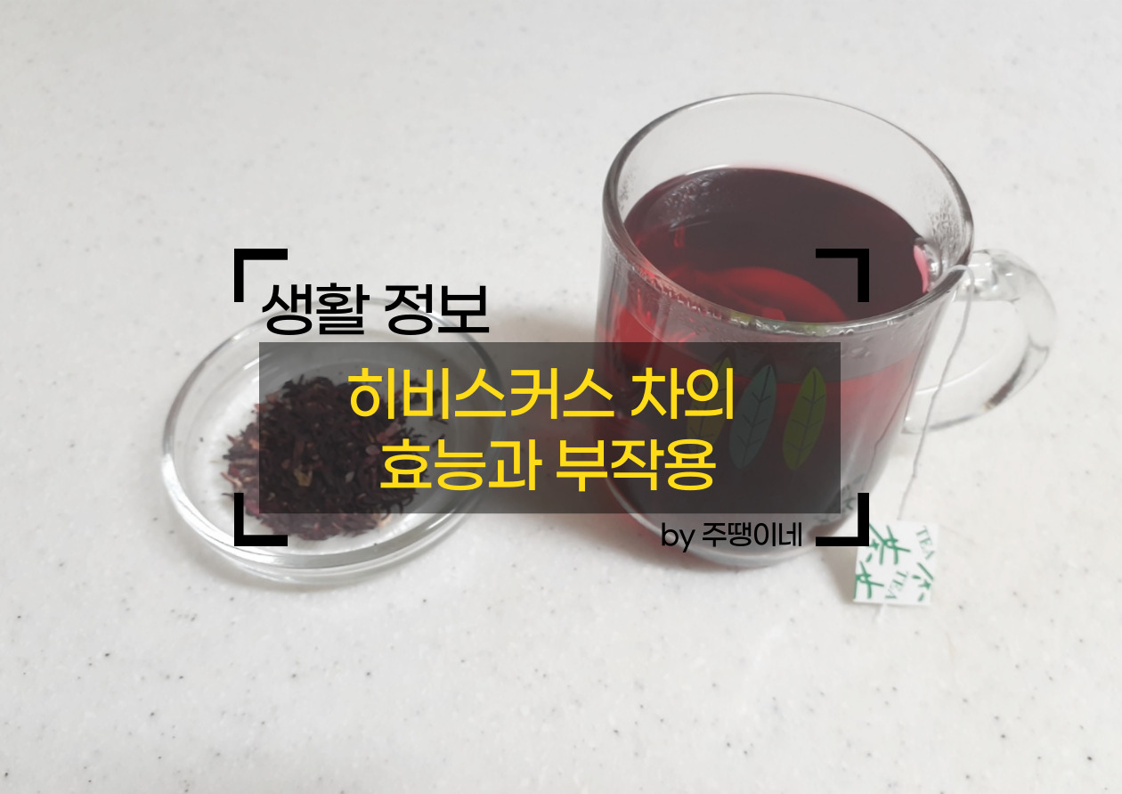 히비스커스차 소개 썸네일