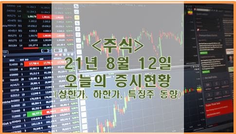  [주식] 21년 8월 12일 오늘의 증시현황 (상한가, 하한가, 특징주)