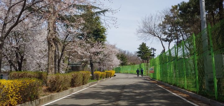 장수파크골프장