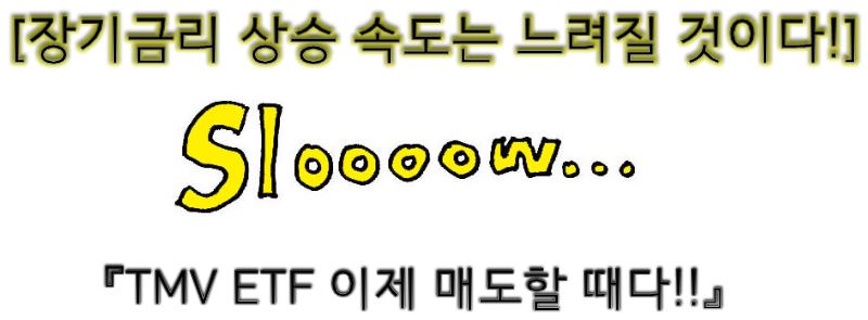  TMV ETF 이제는 매도할 때다!! 장기금리 상승 속도가 느려질 것이다!