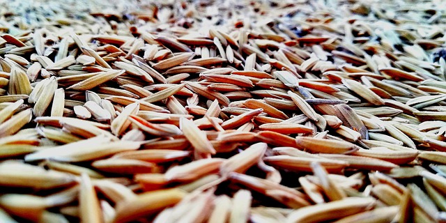  쌀의 칼로리는? 다이어트 중에 알아두고 싶은 쌀의 칼로리와 당질!