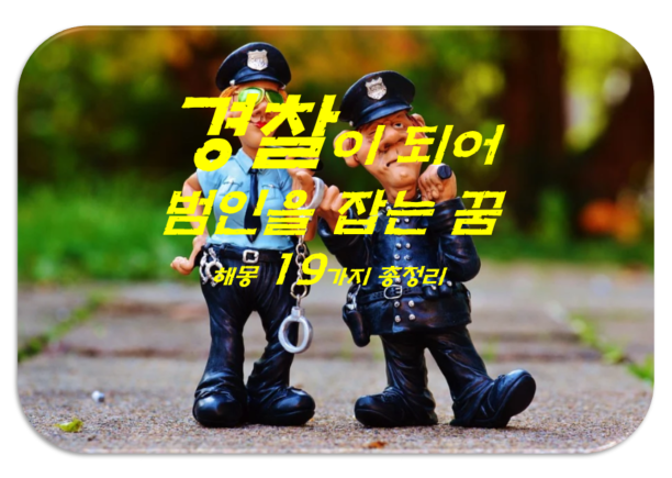 경찰이 되어 범인 잡는 꿈 해몽 19가지 총정리
