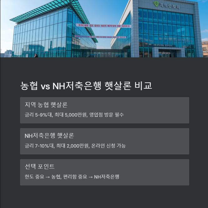 NH저축은행 햇살론 vs 지역 농협 햇살론 차이점