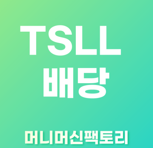 테슬라 레버리지