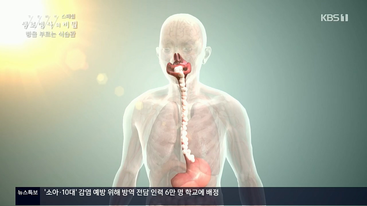 생로병사의 비밀.E844.221124p.H264-F1RST.mp4_20221124_201106.306.jpg