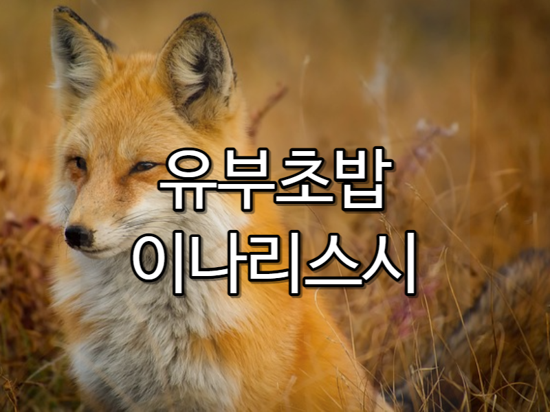  키츠네 뜻 여우 유부우동(키츠네우동)이 된 이유