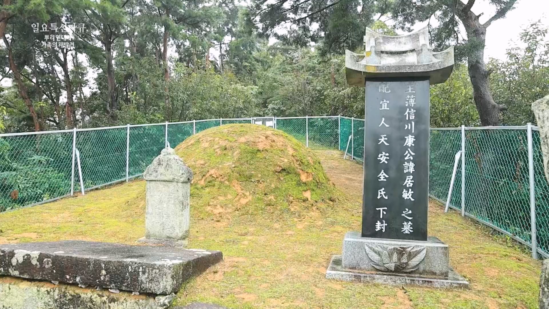 일요 특선 다큐멘터리.E327.231105p.H264-F1RST.mp4_20231105_165432.008.jpg