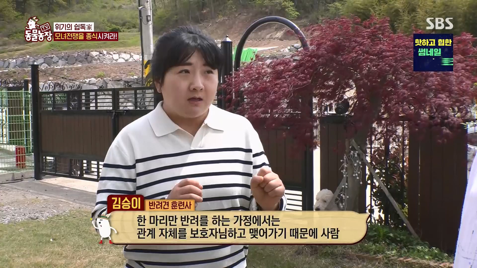 TV 동물농장.E1120.230514p.H264-F1RST.mp4_20230515_203530.105.jpg