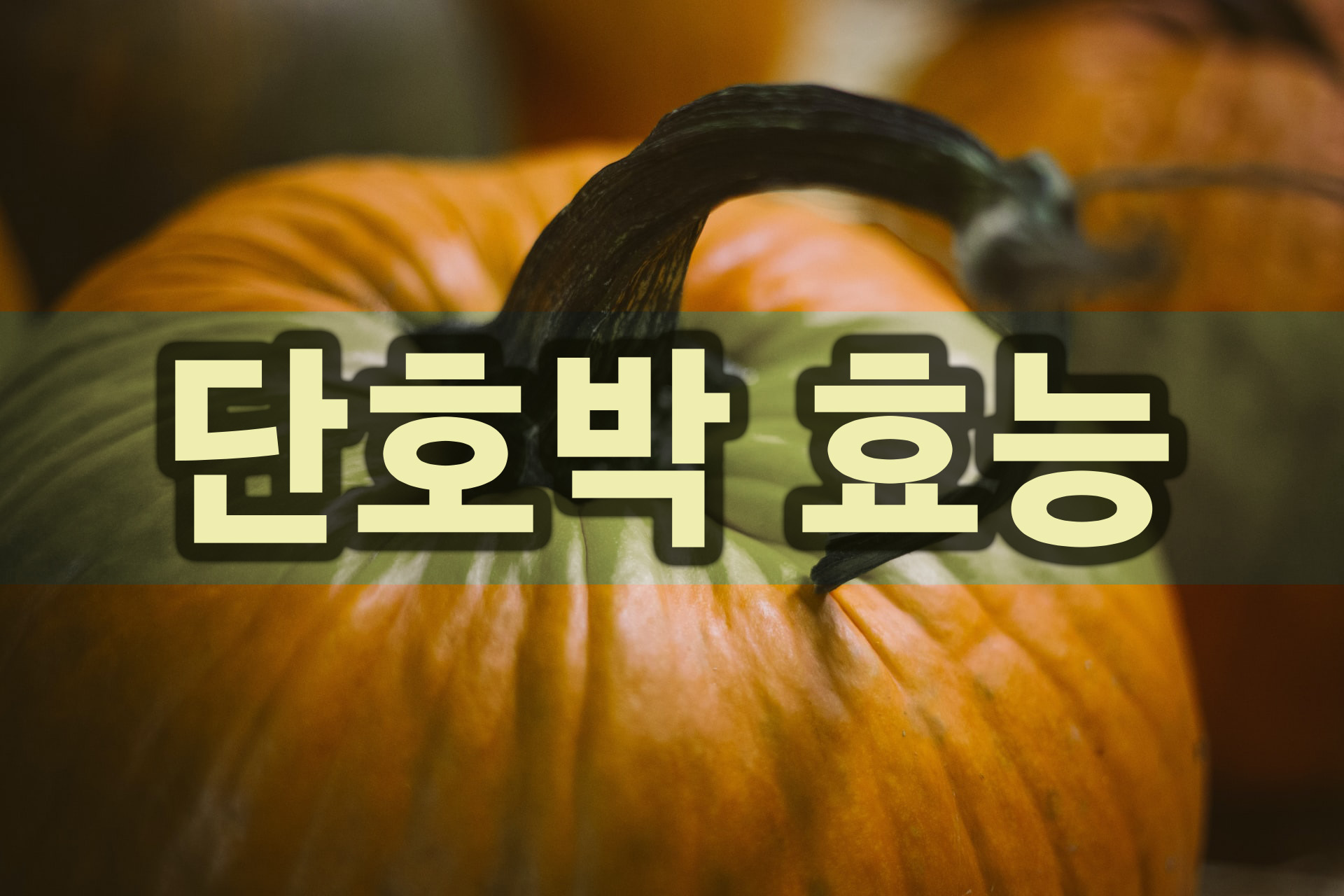  세계 10대 슈퍼푸드 단호박의 효능 및 섭취 방법