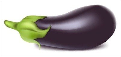 가지의 장점 10 | 부작용 요약 10
