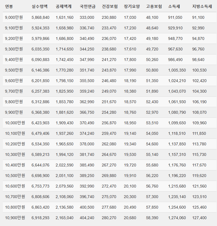 2024년 연봉 실수령액 (9000만 원 ~ 19000만 원 구간)