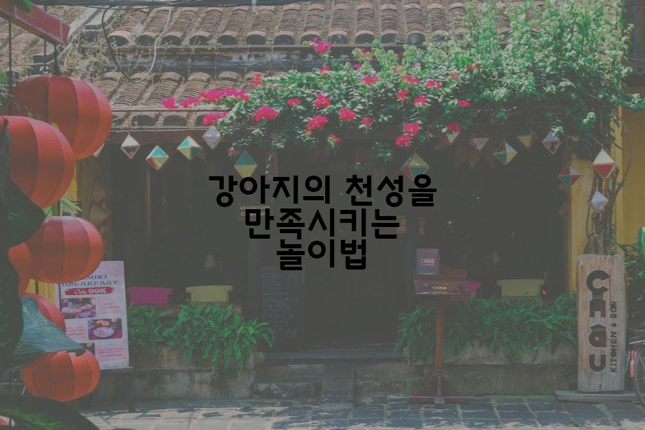 강아지의 천성을 만족시키는 놀이법