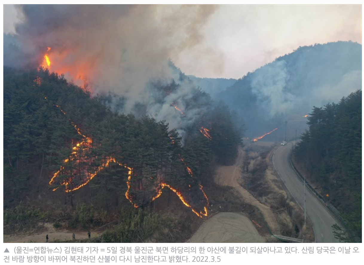  울진 산불과 국민의 힘 그리고 민주당