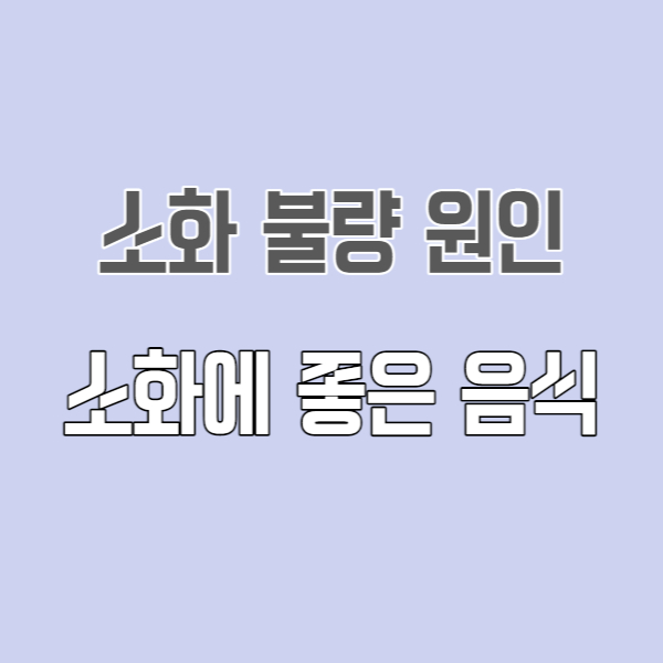  소화가 잘 안될 때 나타나는 증상 및 원인 및 생활습관