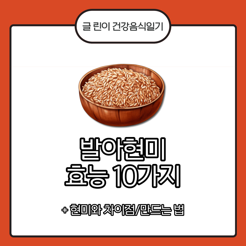  발아현미 효능 10가지