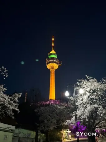 대구 지하철 노선도 시간표 급행_22
