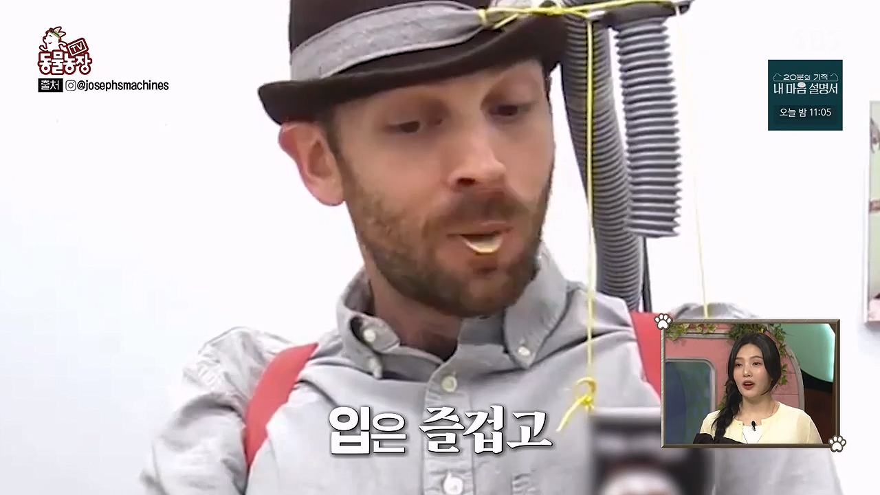 TV 동물농장.E1172.240520p-NEXT.mp4_20240519_162152.418.jpg