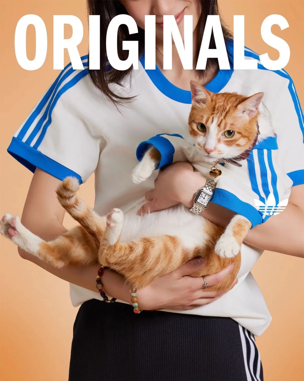 adidas Originals Is Dropping Apparel And Accessories For Pets