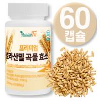골드 카무트 천연 카뮤트 효소 소화효소 식약청인증