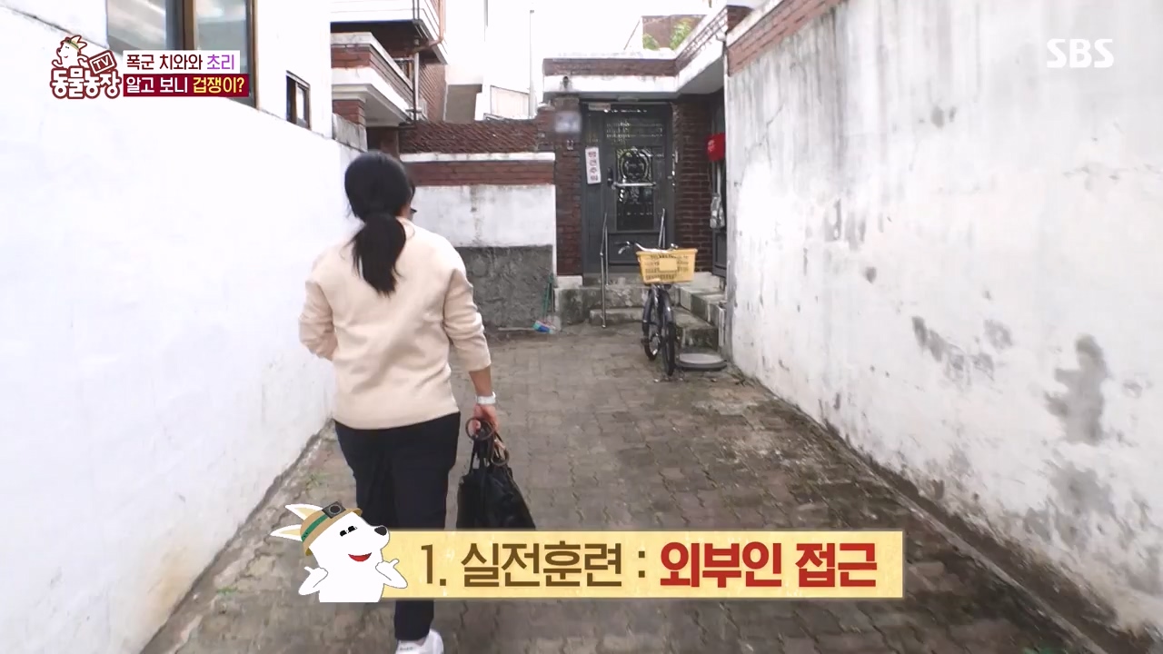 TV 동물농장.E1144.231106p-NEXT.mp4_20231105_175941.793.jpg