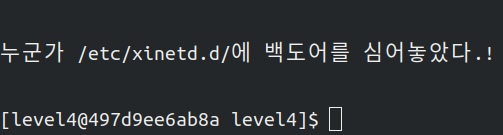  3. Backdoor