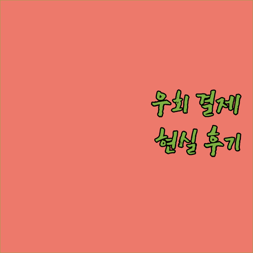 타이달 우회 결제, 불안하면 보세요!