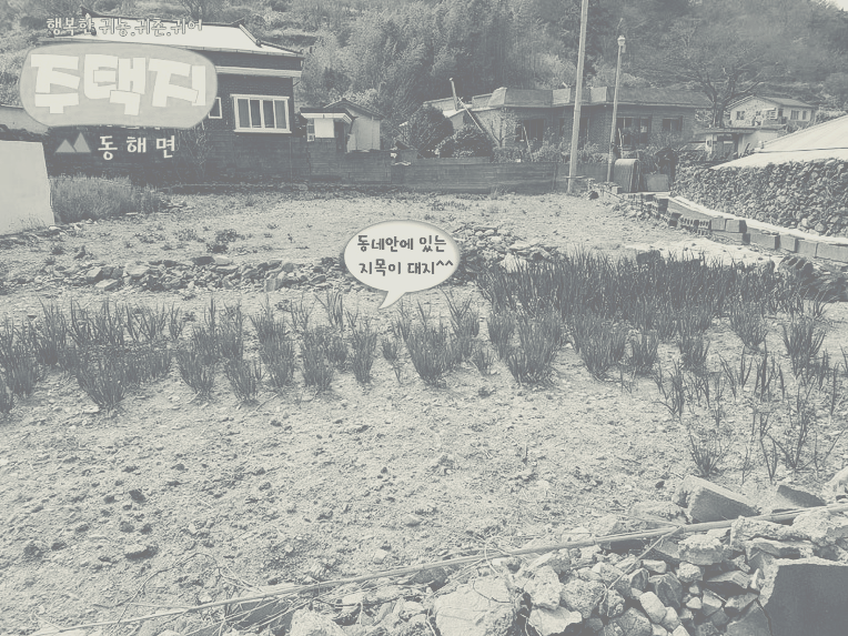  매매완료 경남고성부동산.경남고성땅_동해면 동네안에 위치한 나대지(164평)