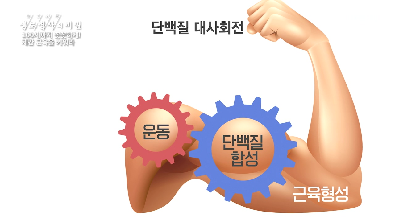 생로병사의 비밀.E885.231012p-NEXT.mp4_20231012_202956.083.jpg