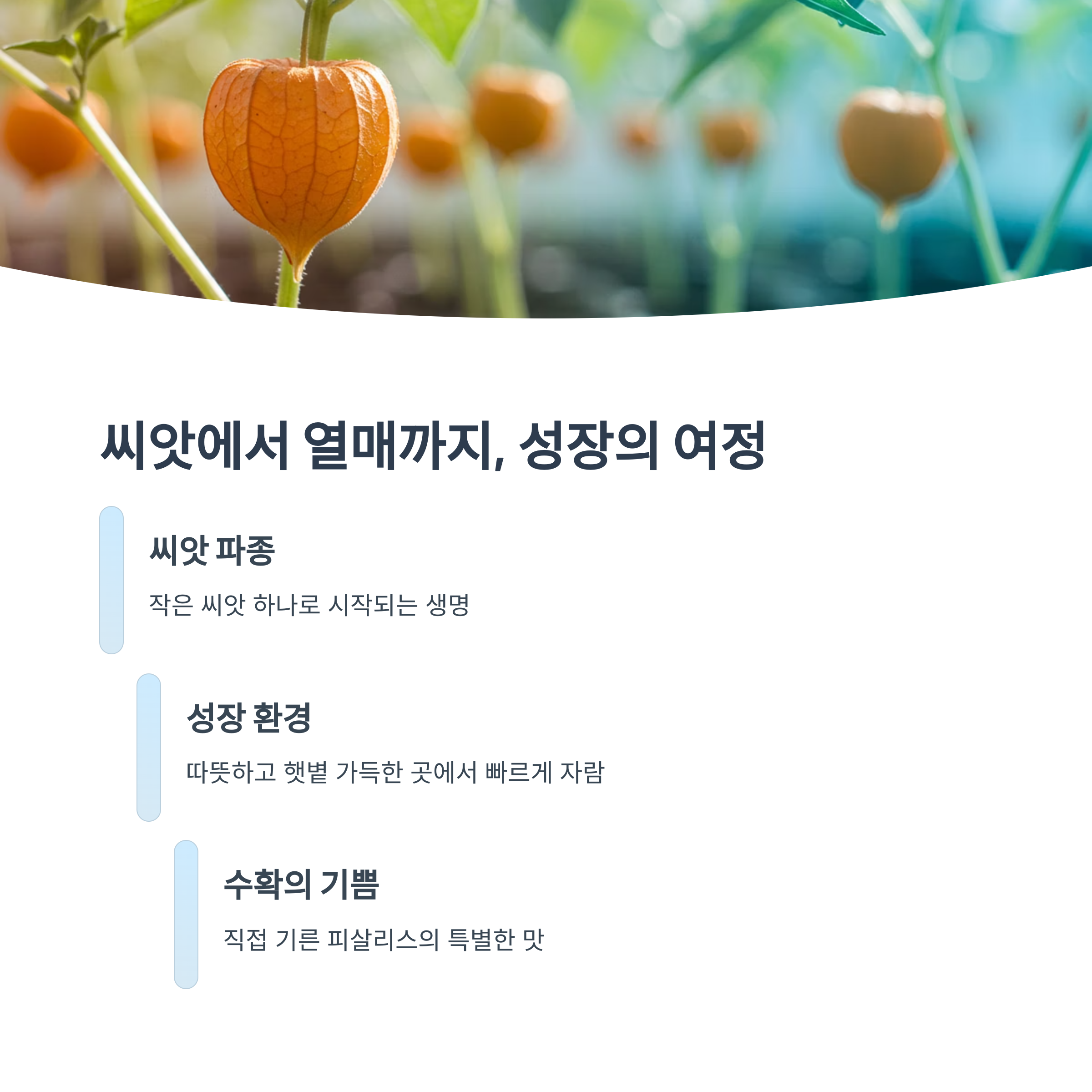 씨앗 하나로 시작된 변화