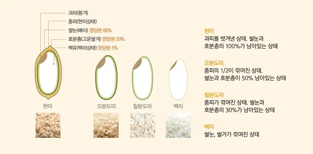 쌀에는 다양한 도정 과정이 있고, 이에 따라 사케 종류도 달라집니다.