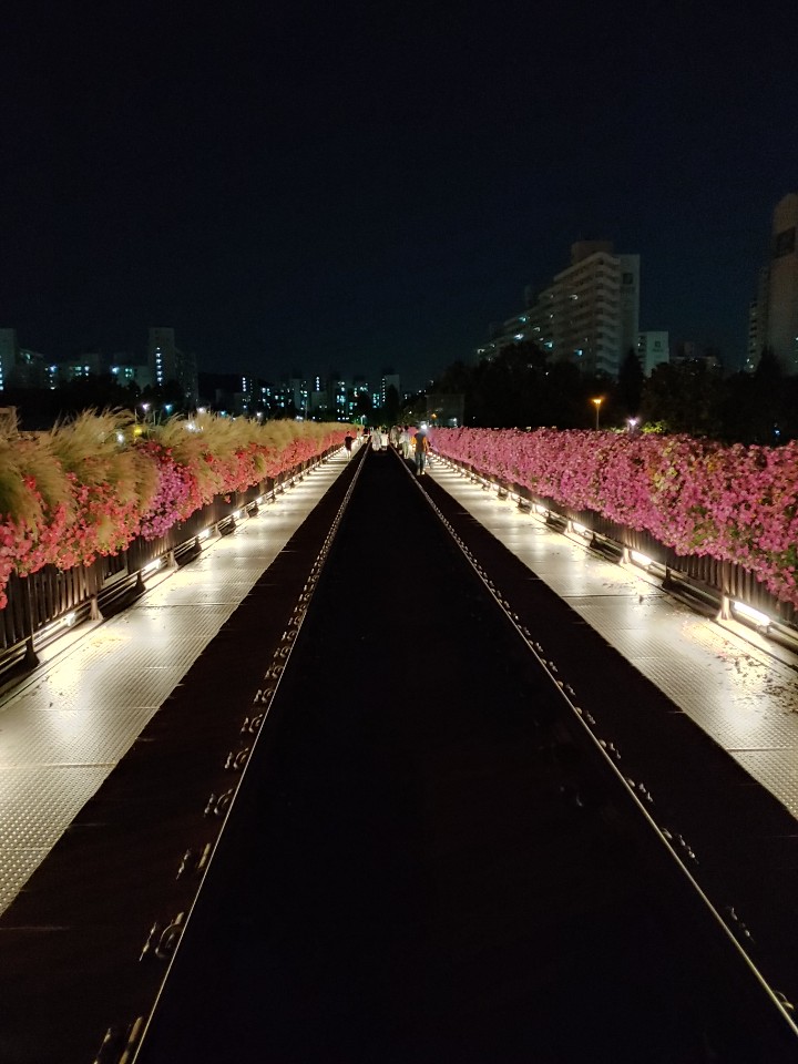  야간 자전거 라이딩