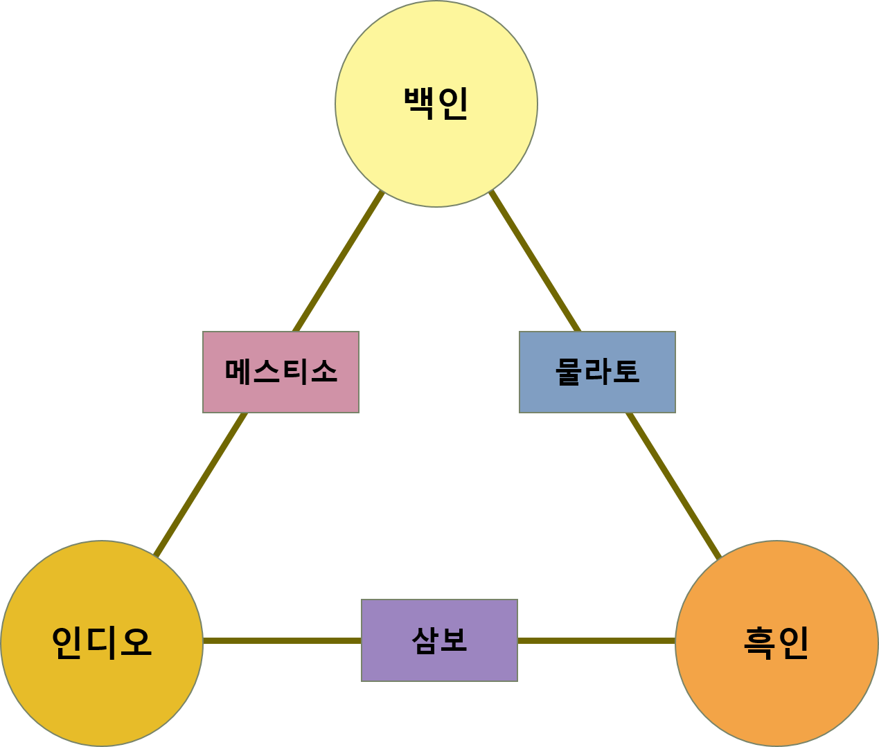 라틴 아메리카의 다양한 인종