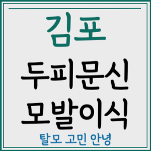 김포 두피문신 모발이식 가격